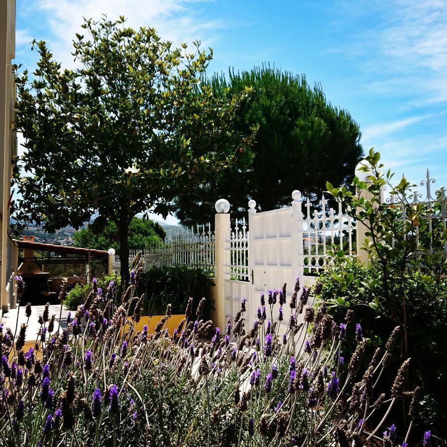 Villa Filoxenia All Seasons, Near Airport, Sea, Athens Agia Marina  ภายนอก รูปภาพ
