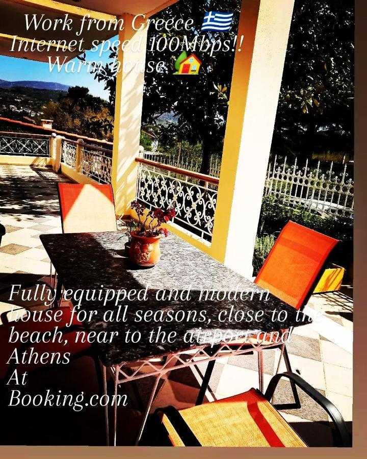 Villa Filoxenia All Seasons, Near Airport, Sea, Athens Agia Marina  ภายนอก รูปภาพ