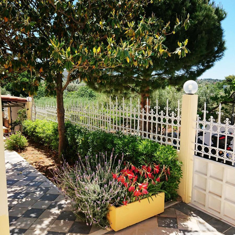 Villa Filoxenia All Seasons, Near Airport, Sea, Athens Agia Marina  ภายนอก รูปภาพ