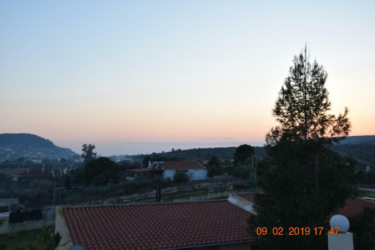 Villa Filoxenia All Seasons, Near Airport, Sea, Athens Agia Marina  ภายนอก รูปภาพ