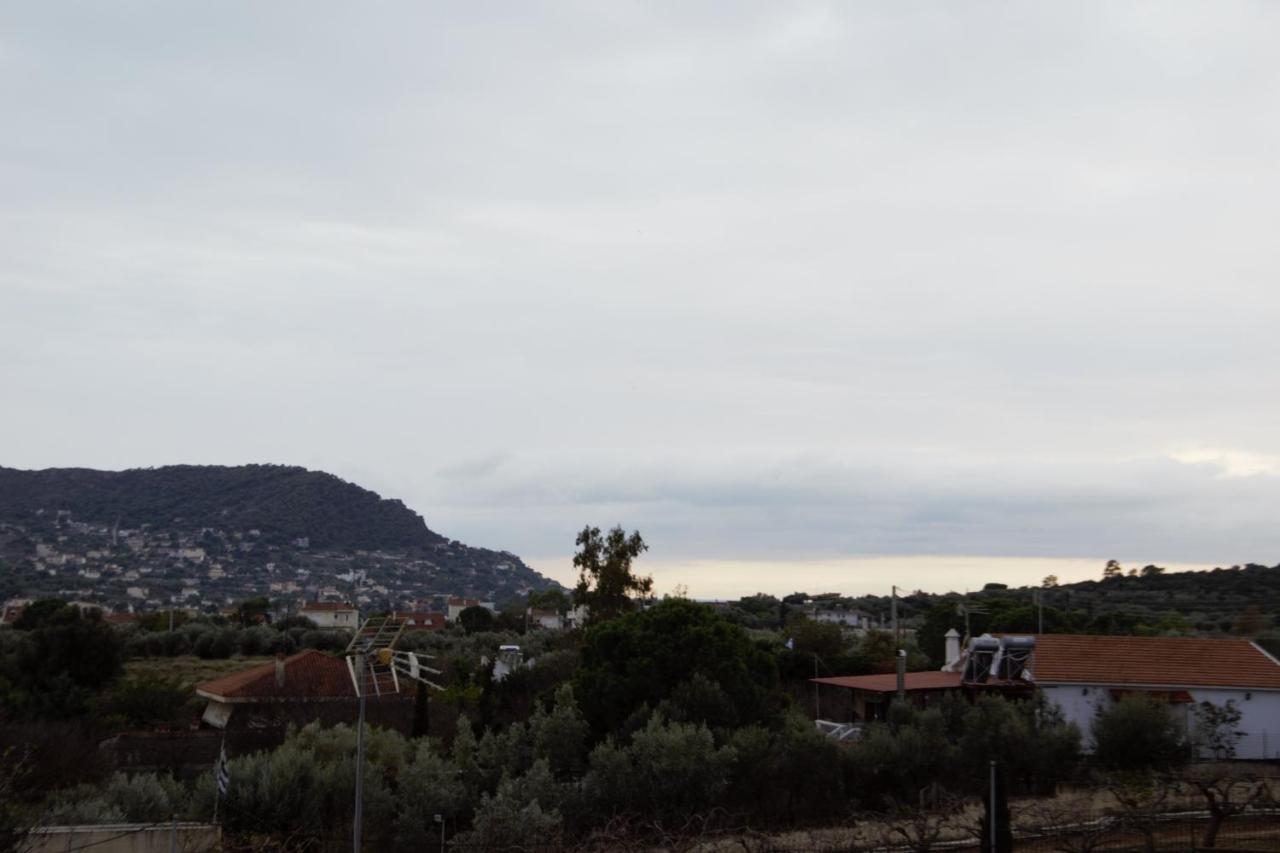 Villa Filoxenia All Seasons, Near Airport, Sea, Athens Agia Marina  ภายนอก รูปภาพ